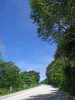 hh-saka-130517.jpg