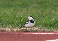 hjhs-190321.jpg