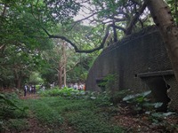 houdai-250618.jpg