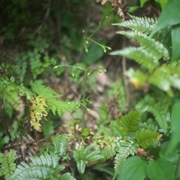 hr-231118.jpg