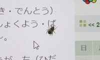 htg-211007.jpg