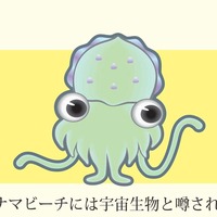 ikaseijin-190805.jpg
