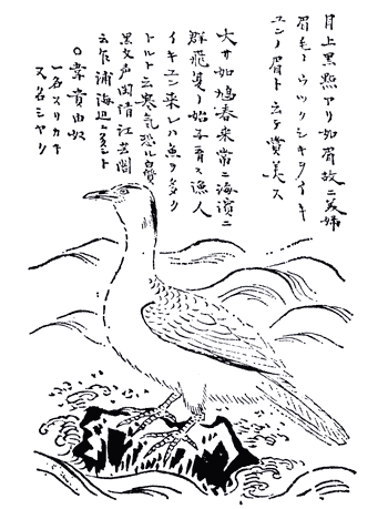 ikiyun-250308.png