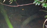 imori-250125.jpg