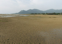inow-140528.jpg