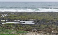 iso-210629.jpg
