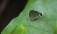 iwkw-210918.jpg