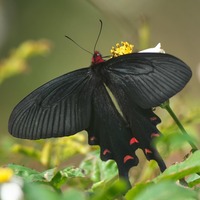 jakow2-250215.jpg