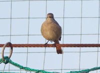 jb-200122.jpg