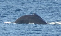 k4-240203.jpg