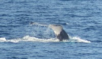 k5-240203.jpg