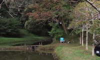 kame-241105.jpg