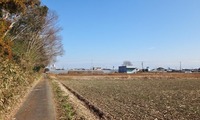 kamiji-250119.jpg
