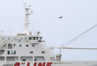kd-181211.jpg