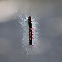 kemu3-250629.jpg