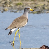 keri-240417.jpg