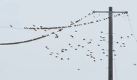 kh-200104.jpg