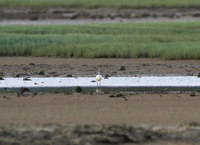 khs-150818.jpg