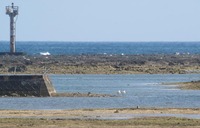 khs-190526.jpg