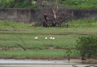 khs-190625.jpg