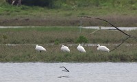khs-220531.jpg