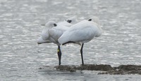 khs-240510.jpg