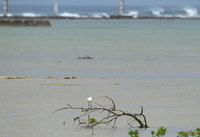 khs-harow-150823.jpg