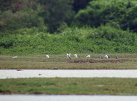 khs-sag-140601.jpg