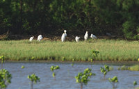 khs-sag-150825.jpg