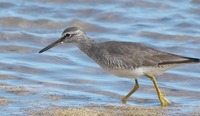 kias-240519.jpg