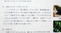 kiji-240806.jpg