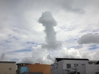 kinoko-241005.jpg