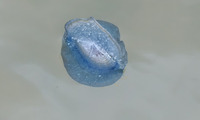 kk3-230214.jpg