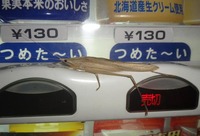 kkg-180830.jpg