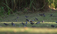 kmd-md-170928.jpg