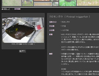 kmg-161223.jpg