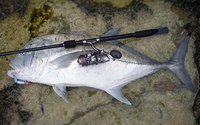 kmj-150416.jpg
