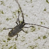 kmkr-220706.jpg
