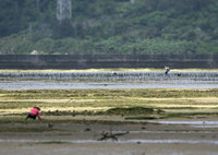 kt-050504.jpg