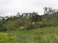kunjo-150829.jpg