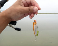 lure-140530.jpg