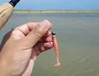 lure-140601.jpg