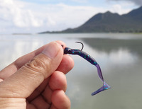 lure-170827.jpg