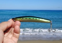 lure-180917.jpg