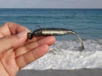 lure-181118.jpg