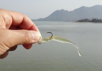 lure-190409.jpg