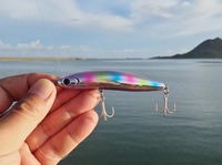 lure-190831.jpg