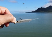 lure-190929.jpg