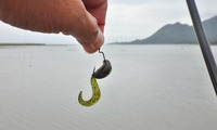 lure-220615.jpg