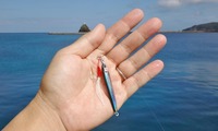 lure-250301.jpg